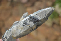 Natural Schorl Black Tourmaline Specimens x 6 From Erongo, Namibia