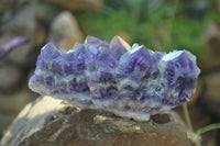 Natural Dark Amethyst Clusters x 3 From Mapatizya, Zambia - Toprock Gemstones and Minerals 