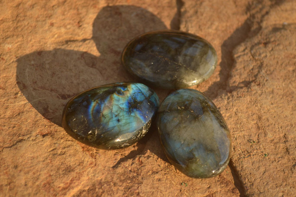 Polished  Flashy Labradorite Palm Stones  x 20 From Tulear, Madagascar - Toprock Gemstones and Minerals 