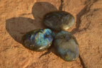 Polished  Flashy Labradorite Palm Stones  x 20 From Tulear, Madagascar - Toprock Gemstones and Minerals 