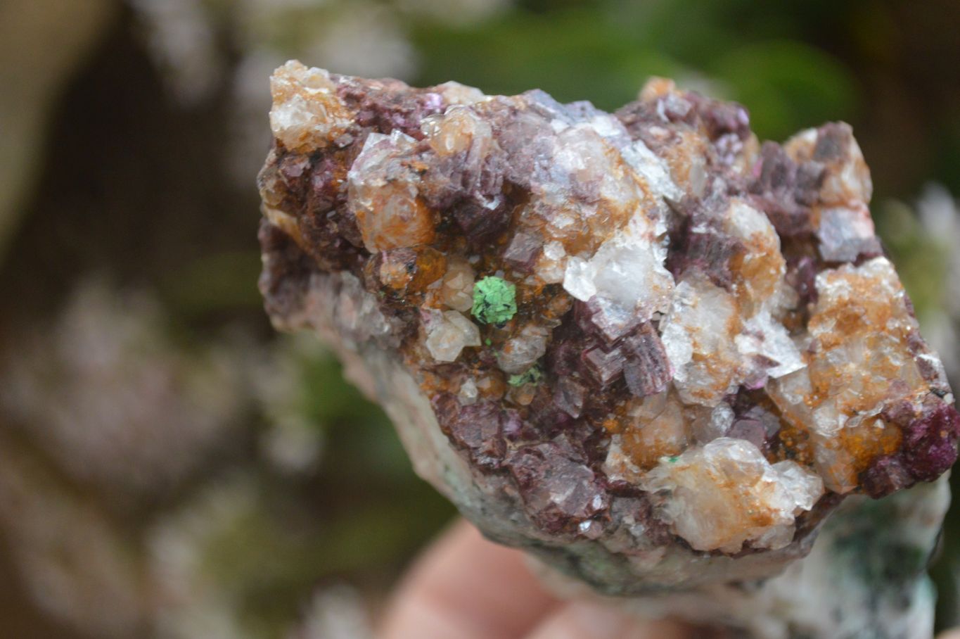 Natural Pink Salrose Cobaltion Dolomite Specimens  x 6 From Kakanda, Congo - Toprock Gemstones and Minerals 