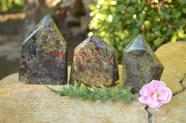 Polished Dragon Bastite Bloodstone (Bastite) Crystals  x 3 From Tshipise, South Africa - TopRock