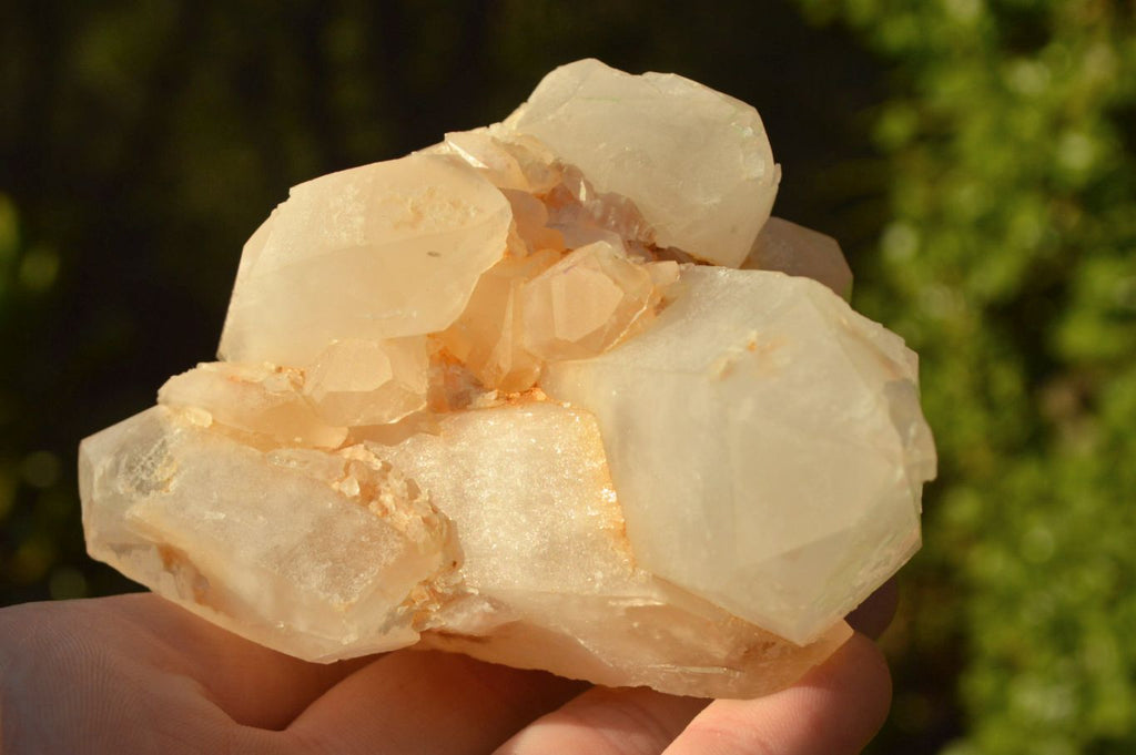 Natural Golden Iron Candle Quartz Clusters x 6 From Madagascar - TopRock