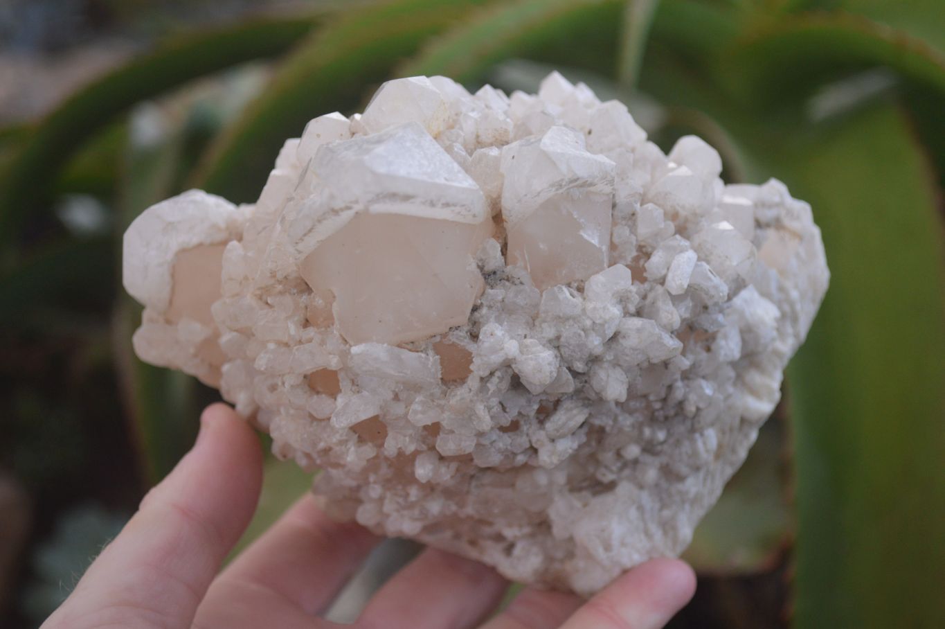 Natural Large Candle Quartz Crystals  x 2 From Madagascar - Toprock Gemstones and Minerals 