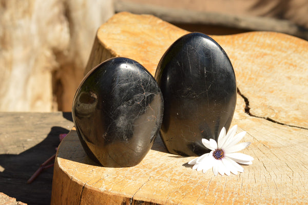 Polished Large Black Tourmaline Standing Free Forms  x 2 From Madagascar