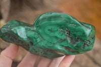 Polished  Large Malachite Free Form With Flower Ring Patterns  x 1 From Congo - Toprock Gemstones and Minerals 