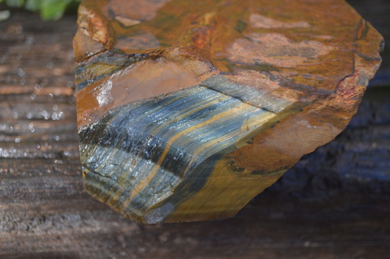 Natural Sliced Tigers Eye Specimen x 1 From Prieska, South Africa - Toprock Gemstones and Minerals 