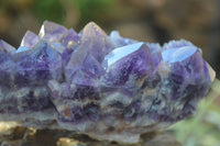 Natural Dark Amethyst Clusters x 3 From Mapatizya, Zambia - Toprock Gemstones and Minerals 