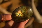 Polished  Flashy Labradorite Palm Stones  x 20 From Tulear, Madagascar - Toprock Gemstones and Minerals 
