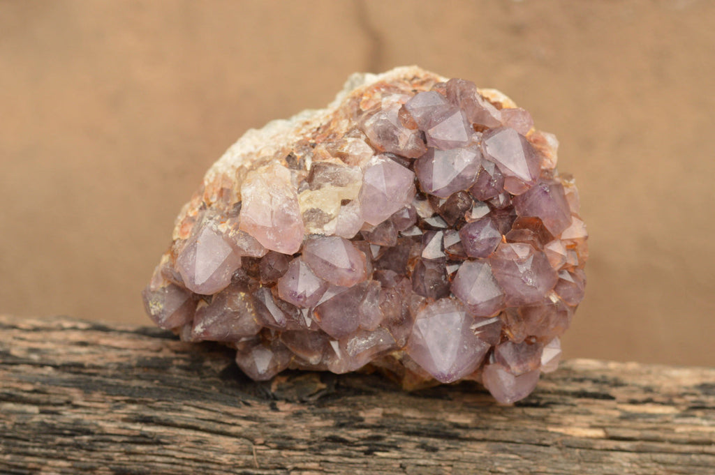 Natural Amethyst Cactus Quartz Clusters  x 5 From Boekenhouthoek, South Africa - TopRock