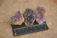 Natural Small Dark "Amethystos" Amethyst Clusters x 70 From Kwaggafontein, South Africa - TopRock
