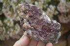 Natural Pink Salrose Cobaltion Dolomite Specimens  x 6 From Kakanda, Congo - Toprock Gemstones and Minerals 