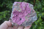 Natural Salrose Cobaltion Dolomite Specimens x 3 From Kakanda, Congo - Toprock Gemstones and Minerals 