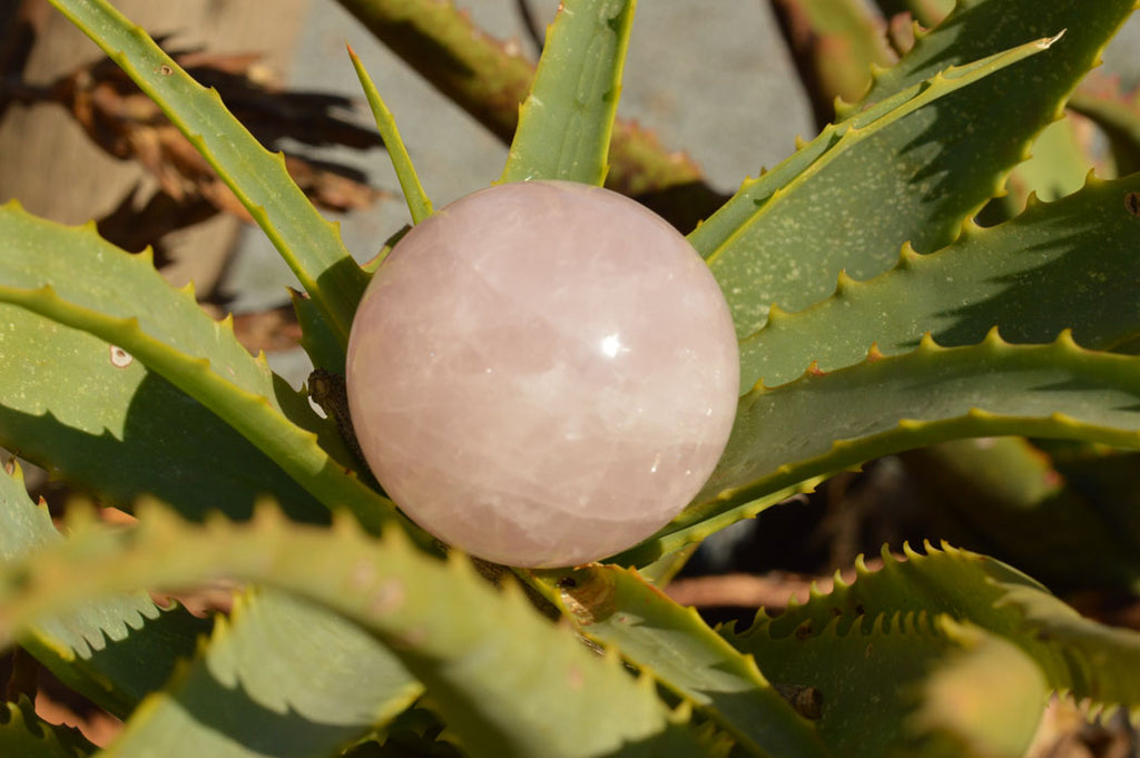 Polished Gemmy Pink Rose Quartz Spheres  x 6 From Ambatondrazaka, Madagascar - TopRock