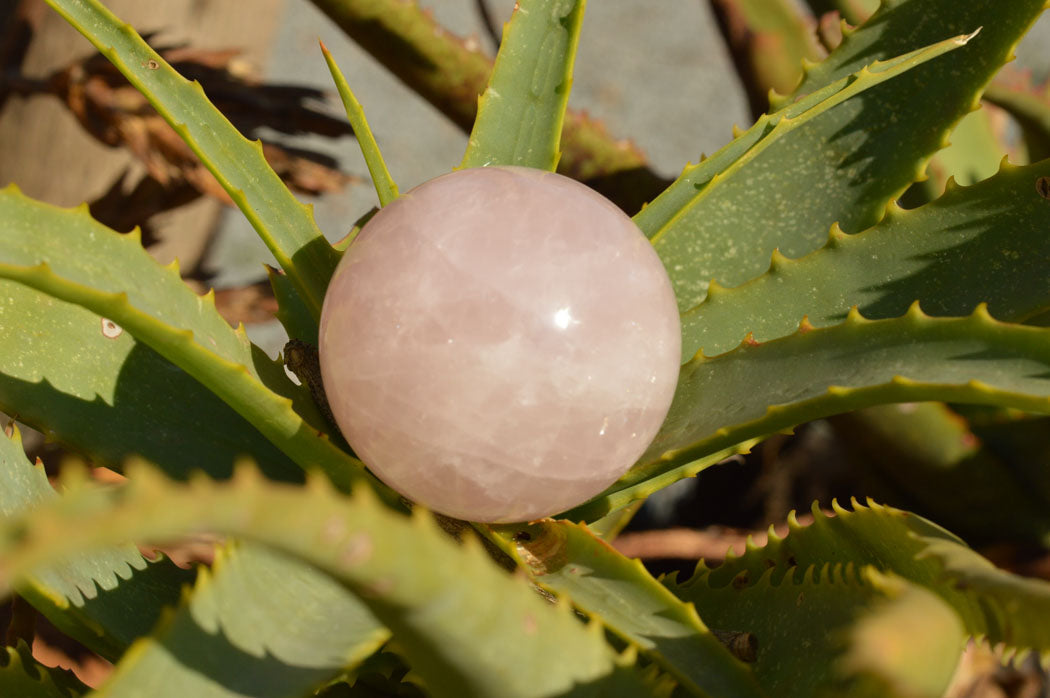 Polished Gemmy Pink Rose Quartz Spheres  x 6 From Ambatondrazaka, Madagascar - TopRock