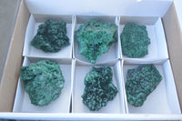 Natural Chatoyant Silky Malachite Specimens  x 6 From Kasompe, Congo - Toprock Gemstones and Minerals 