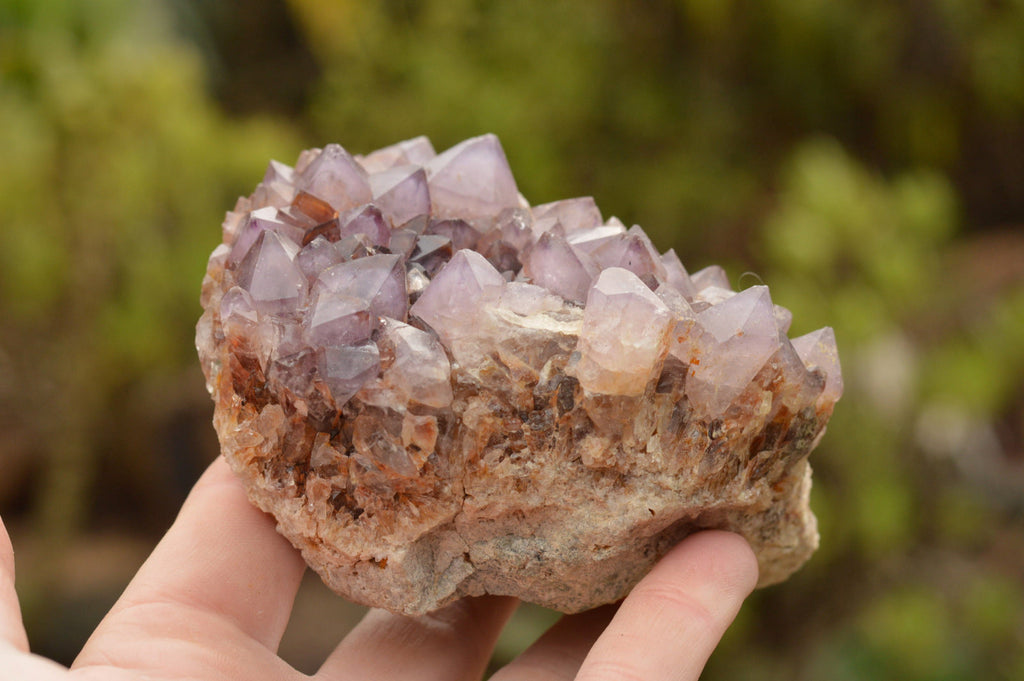 Natural Amethyst Cactus Quartz Clusters  x 5 From Boekenhouthoek, South Africa - TopRock