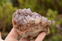 Natural Amethyst Cactus Quartz Clusters  x 5 From Boekenhouthoek, South Africa - TopRock