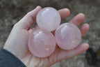 Polished Beautiful Pink Rose Quartz Spheres x 6 From Ambatondrazaka, Madagascar - TopRock