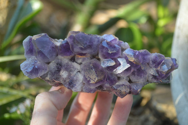 Natural Dark Amethyst Clusters x 3 From Mapatizya, Zambia - Toprock Gemstones and Minerals 