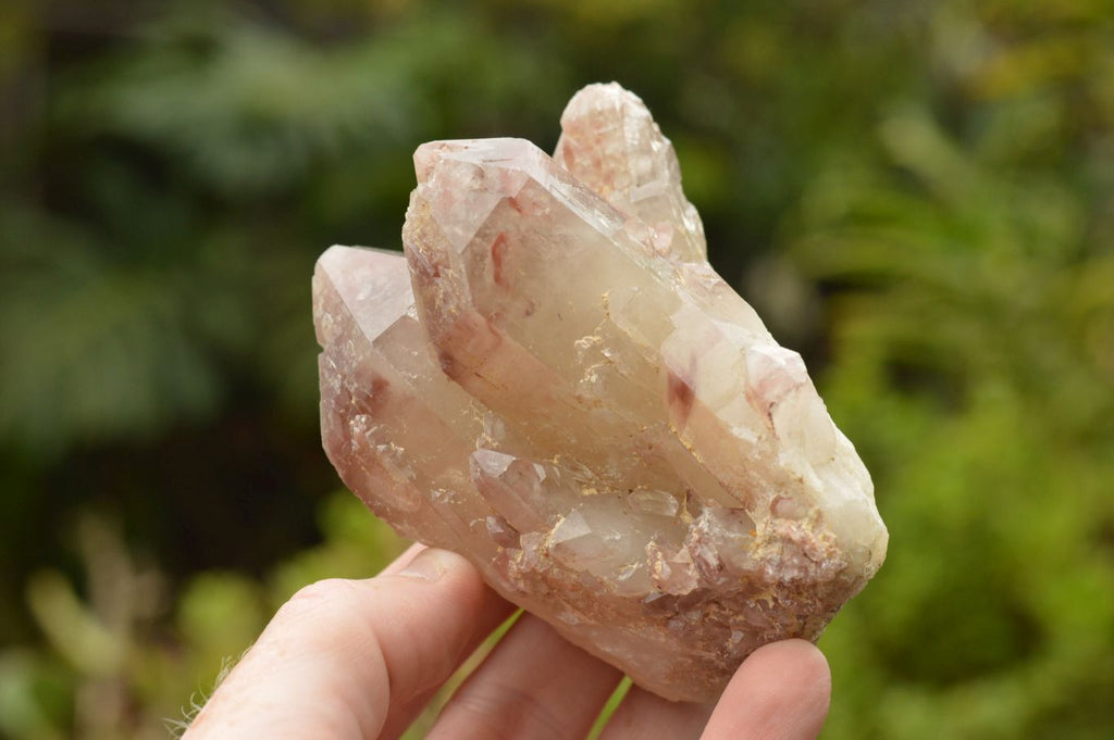 Natural Single Red Hematoid Quartz Crystals  x 6 From Karoi, Zimbabwe - TopRock