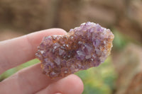 Natural Small Dark "Amethystos" Amethyst Clusters x 70 From Kwaggafontein, South Africa - TopRock