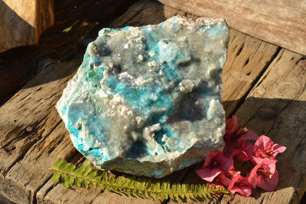 Natural Excellent XXL Drusi Dolomite Chrysocolla Specimen With Malachite  x 1 From Lupoto, Congo - TopRock