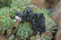 Natural Schorl Black Tourmaline Specimens x 6 From Erongo, Namibia