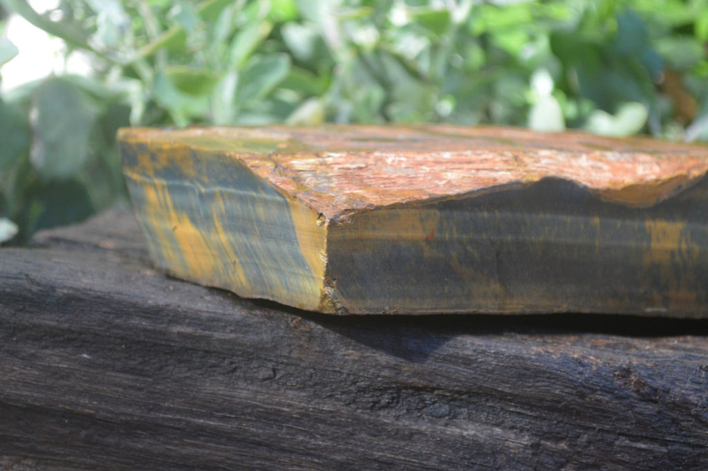 Natural Sliced Tigers Eye Specimen x 1 From Prieska, South Africa - Toprock Gemstones and Minerals 