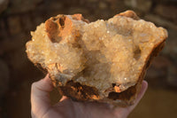 Natural Golden Limonite Quartz Vug Specimen x 1 From Zambia - Toprock Gemstones and Minerals 