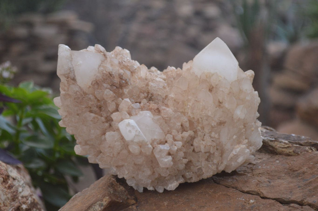 Natural Large Candle Quartz Crystals  x 2 From Madagascar - Toprock Gemstones and Minerals 