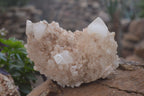 Natural Large Candle Quartz Crystals  x 2 From Madagascar - Toprock Gemstones and Minerals 