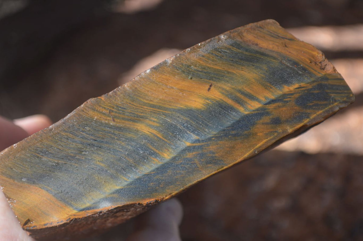 Natural Sliced Tigers Eye Specimen x 1 From Prieska, South Africa - Toprock Gemstones and Minerals 