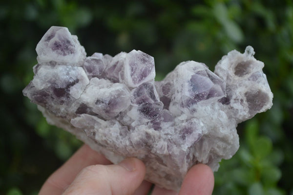 Natural Sugar Amethyst Clusters  x 6 From Zambia