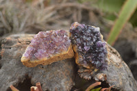 Natural Small Dark "Amethystos" Amethyst Clusters x 70 From Kwaggafontein, South Africa - TopRock