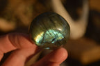 Polished  Flashy Labradorite Palm Stones  x 20 From Tulear, Madagascar - Toprock Gemstones and Minerals 