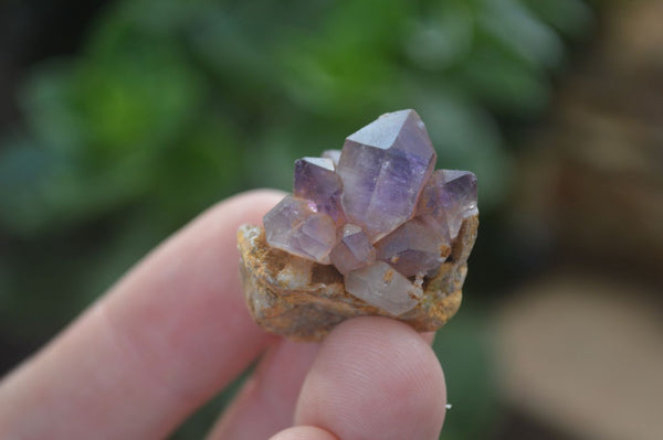 Natural Single Smokey Amethyst Crystals  x 35 From Chiredzi, Zimbabwe