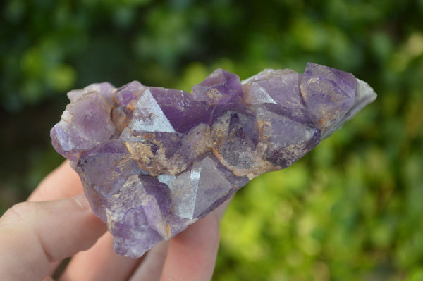 Natural Dark Purple Amethyst Crystal Clusters  x 6 From Zambia - Toprock Gemstones and Minerals 