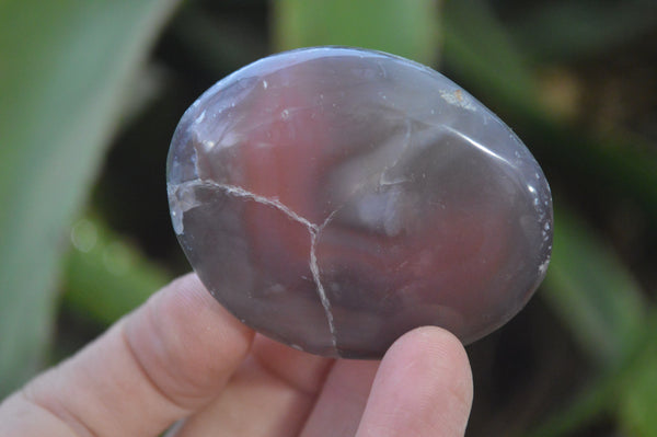 Polished River Agate Palm Stones  x 16 From Sashe River, Zimbabwe - Toprock Gemstones and Minerals 