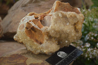Natural Golden Limonite Quartz Vug Specimen x 1 From Zambia - Toprock Gemstones and Minerals 