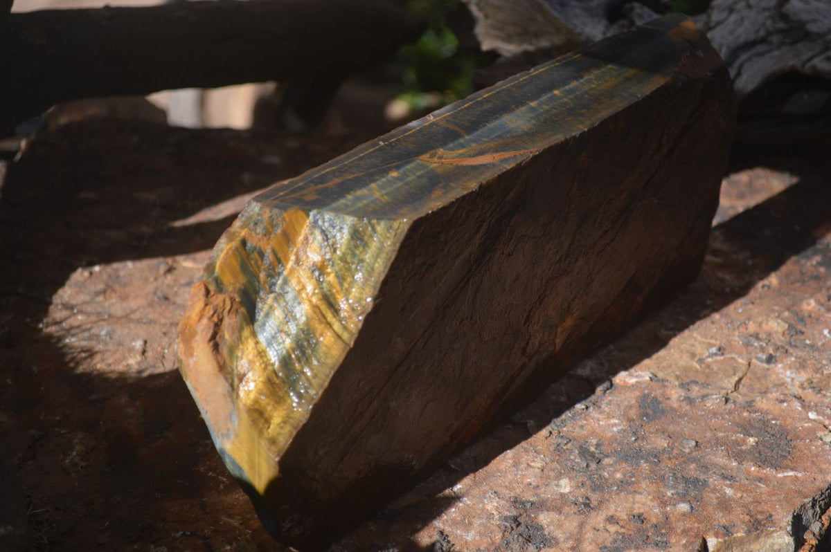 Natural Sliced Tigers Eye Specimen x 1 From Prieska, South Africa - Toprock Gemstones and Minerals 