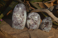 Polished Rubellite Pink Tourmaline Standing Free Forms x 3 From Madagascar - Toprock Gemstones and Minerals 