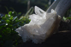 Natural Clear Quartz Crystal Clusters  x 5 From Mpika, Zambia - Toprock Gemstones and Minerals 