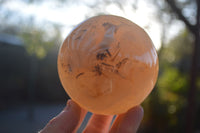Polished Highly Selected Agate Spheres  x 2 From Madagascar - Toprock Gemstones and Minerals 