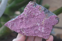 Natural Salrose Cobaltion Dolomite Specimens x 3 From Kakanda, Congo - Toprock Gemstones and Minerals 