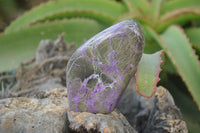 Polished Stichtite & Serpentine Standing Free Forms x 3 From Barberton, South Africa - Toprock Gemstones and Minerals 