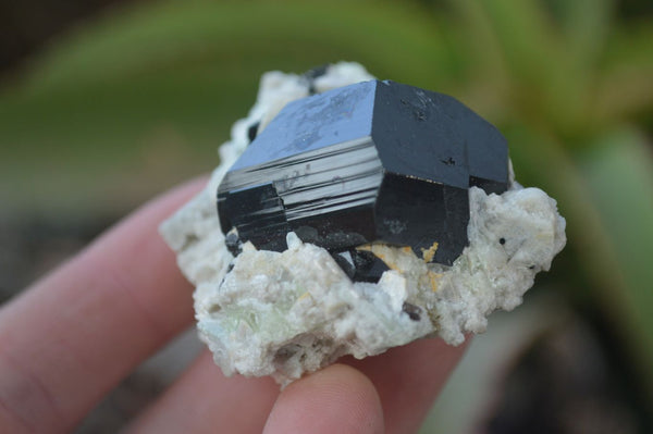Natural Schorl Black Tourmaline Specimens x 6 From Erongo, Namibia