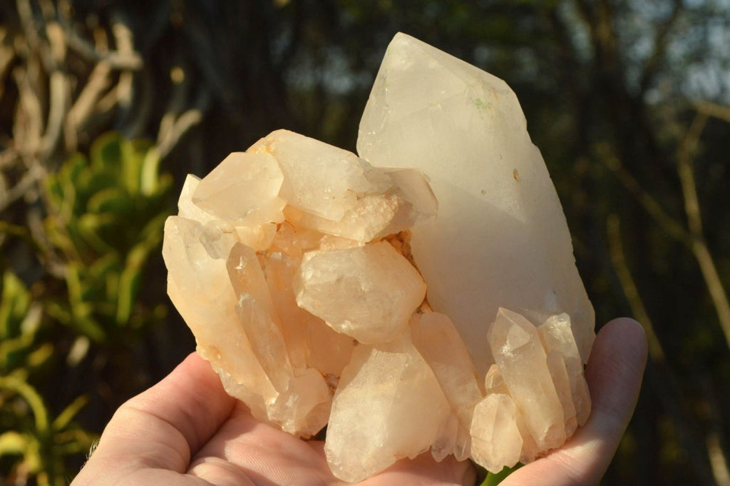 Natural Golden Iron Candle Quartz Clusters x 6 From Madagascar - TopRock