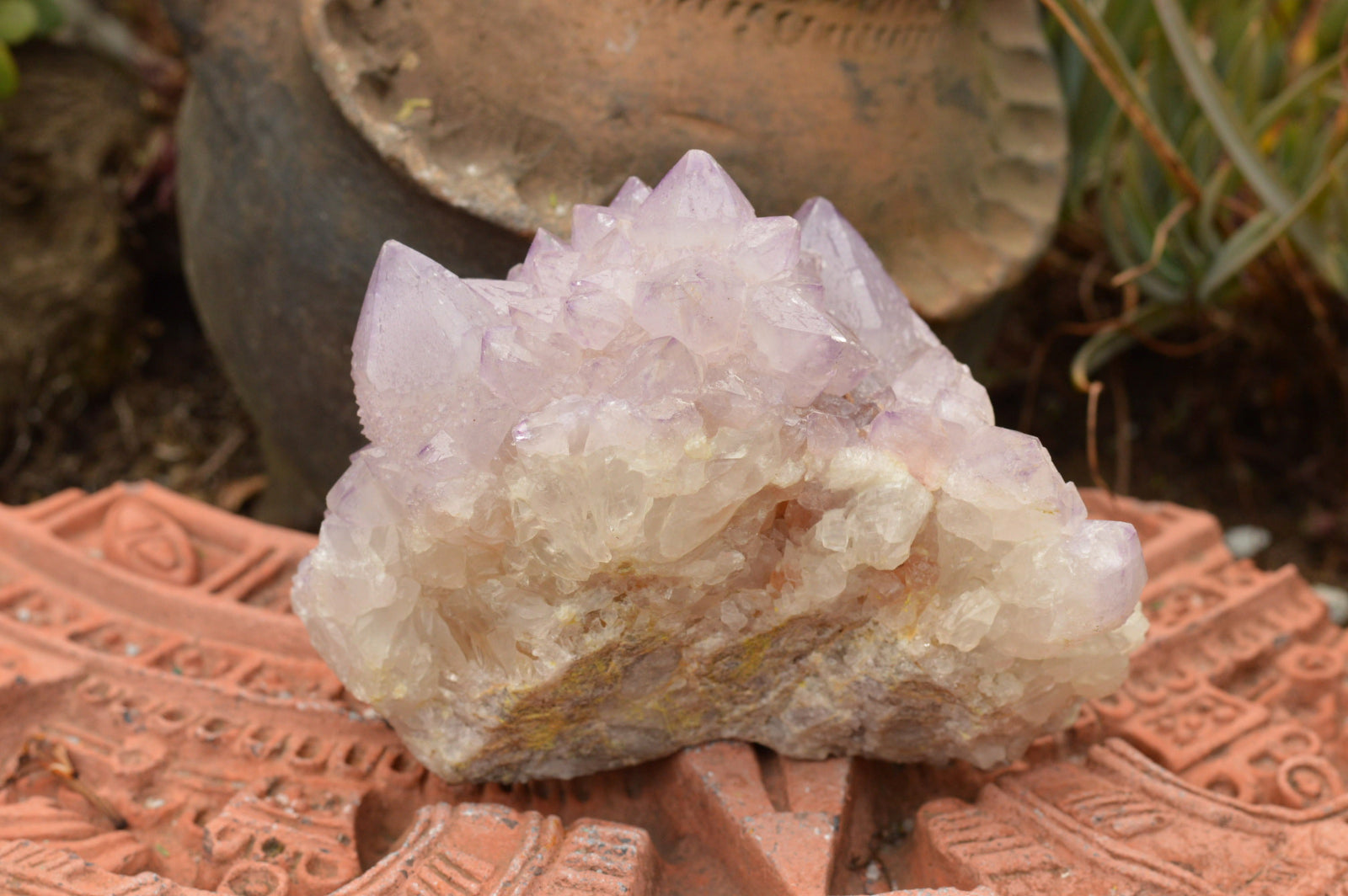 Natural Amethyst Cactus Quartz Clusters  x 5 From Boekenhouthoek, South Africa - TopRock
