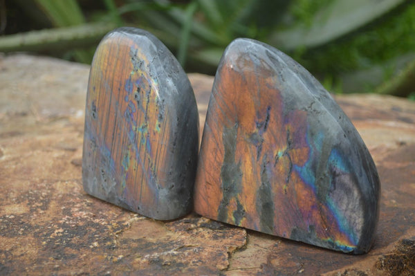 Polished Rare Purple Sunset Flash Labradorite Standing Free Forms  x 2 From Tulear, Madagascar